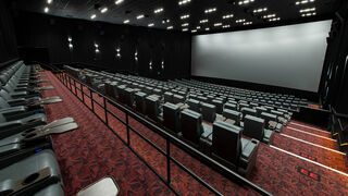 Showplace Icon Mt View 0840