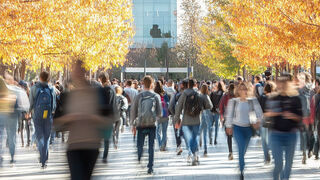 Campus AS 955520339
