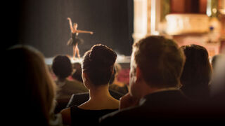 Ballet Dancer 6113 07160083s