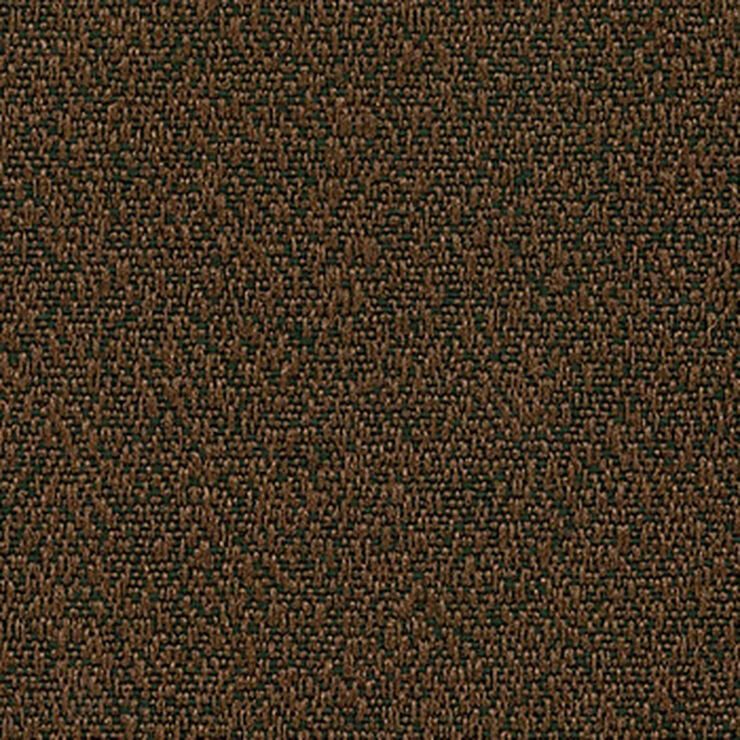 Craze Bracken
