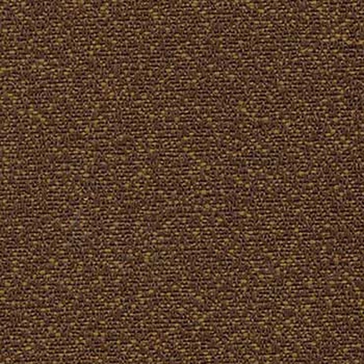 Craze-Clove