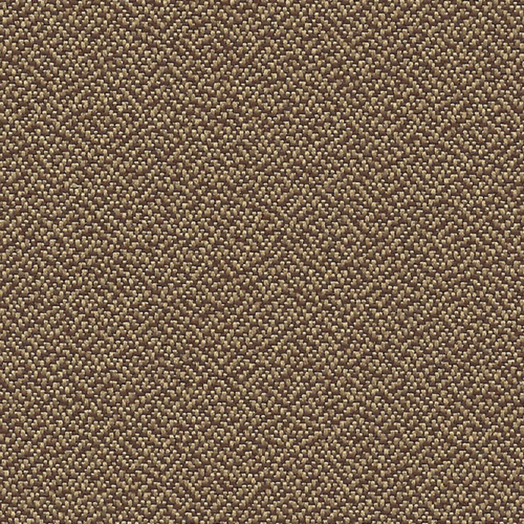 DelMar-Nutmeg