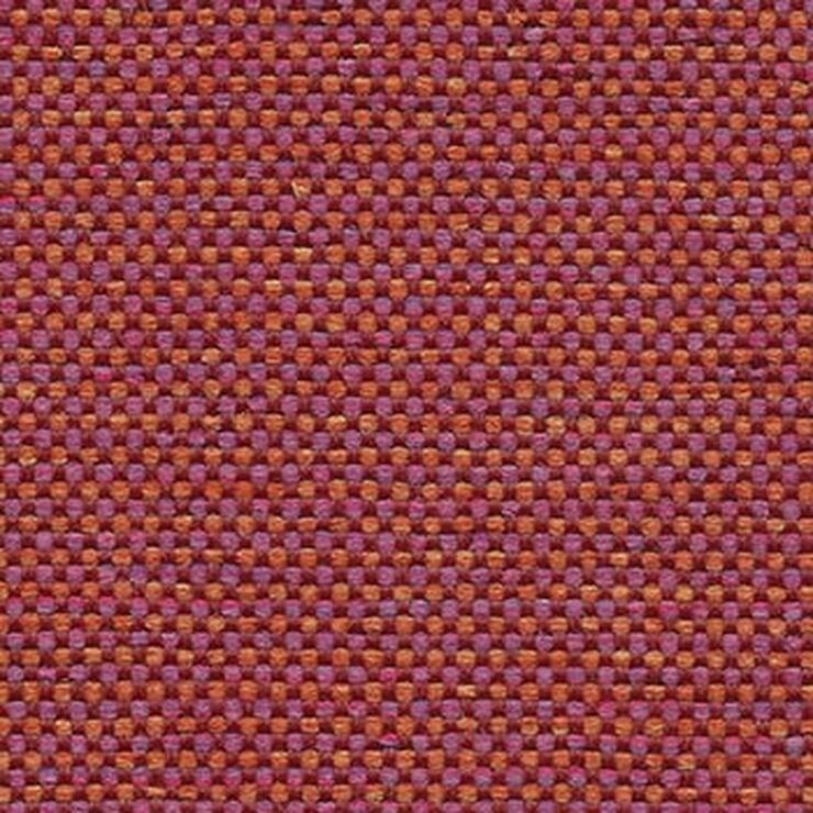 Shire-Tulip