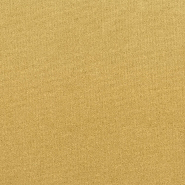 Chronicle goldenrod