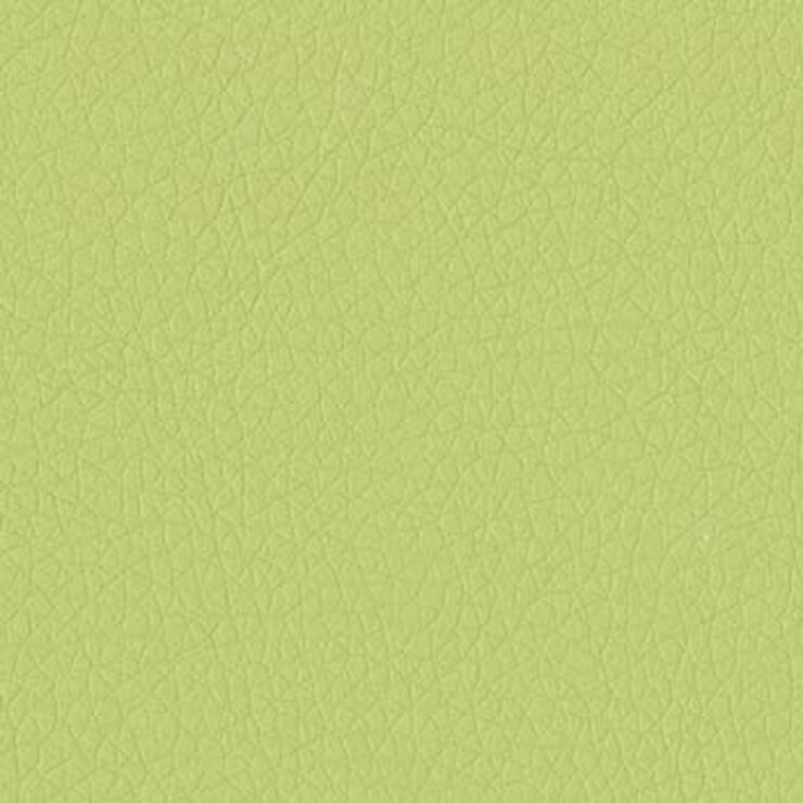 Dillon-AppleGreen
