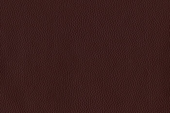 thumbnail-image