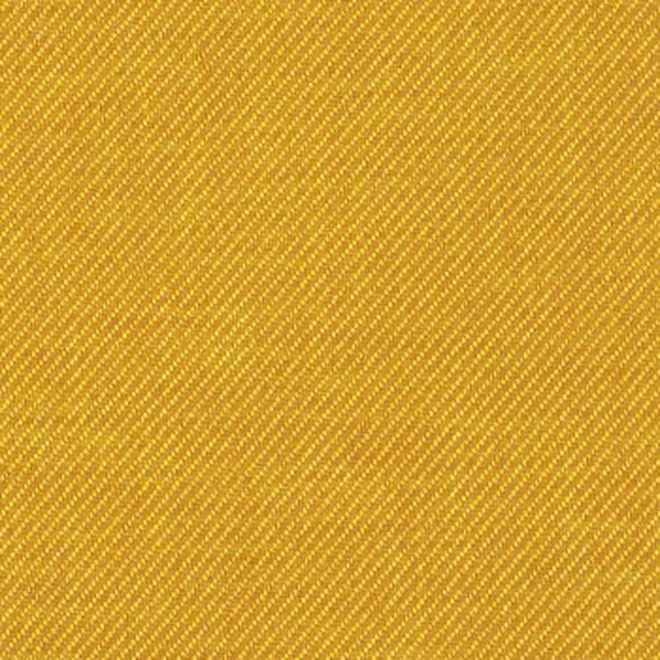 Dtex Gamut Mango