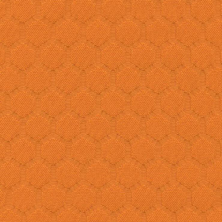 Gm Bee Have Clementine