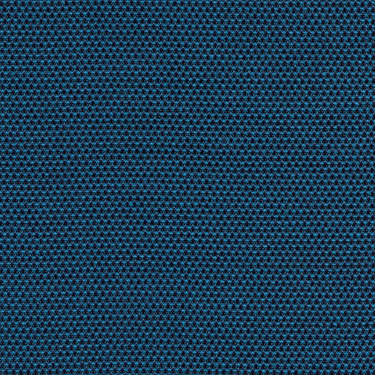 Gm Jane Blueberry