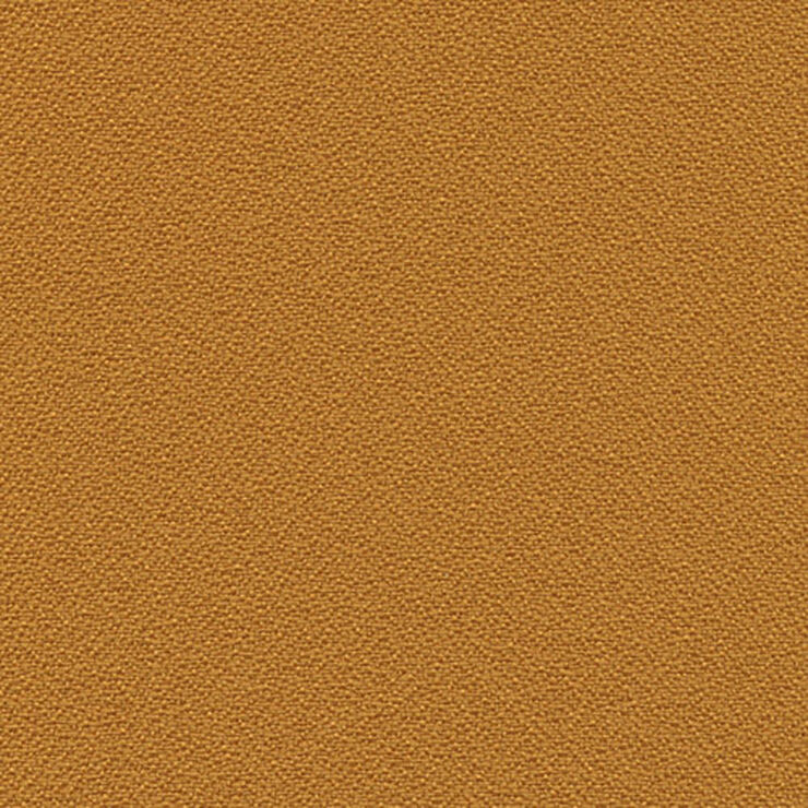 Open-House-Goldenrod