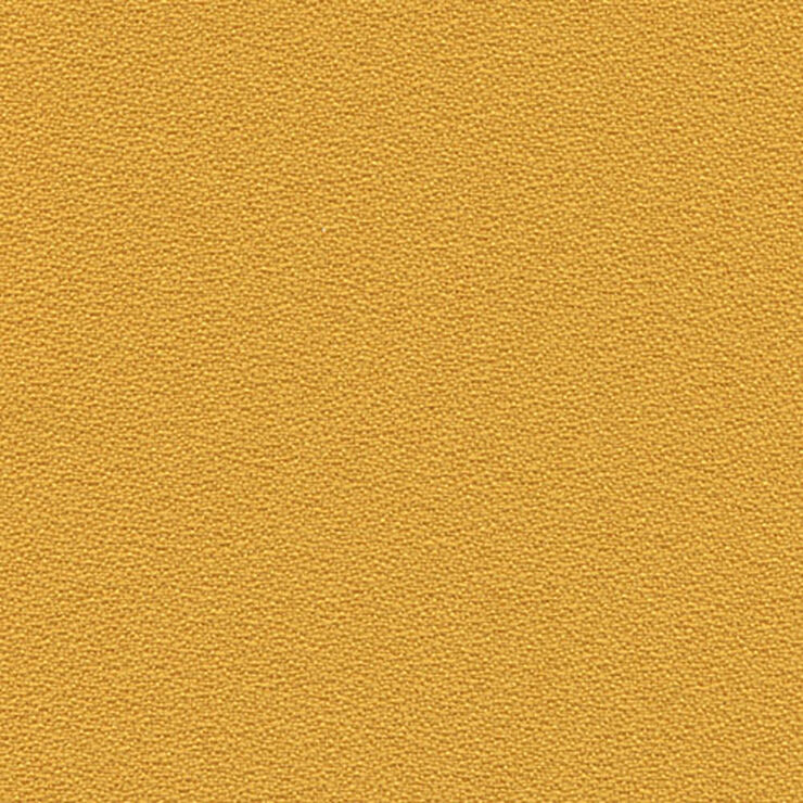 Open-House-Sunshine
