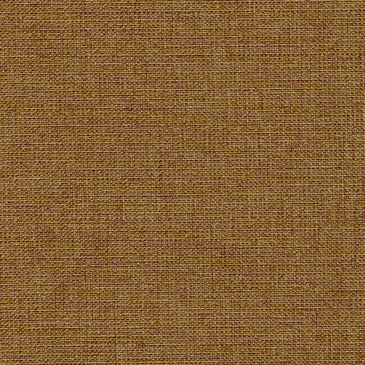Palette Acorn