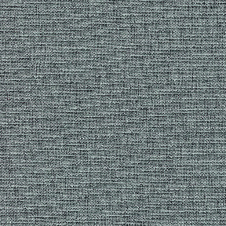 Palette Lichen