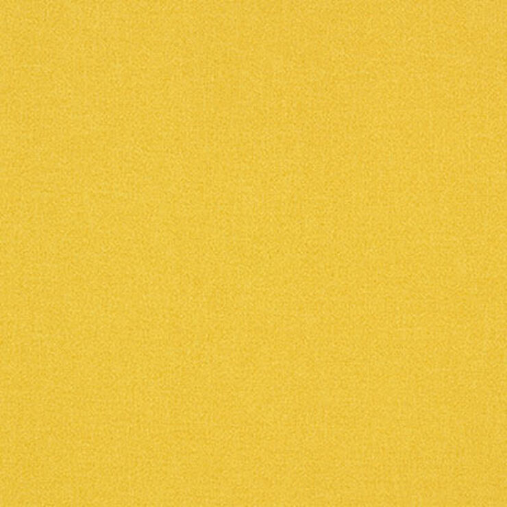 Manner Passerine 046