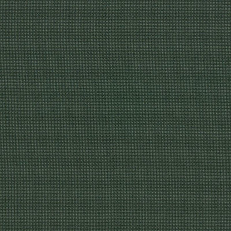 Muse Goal 013