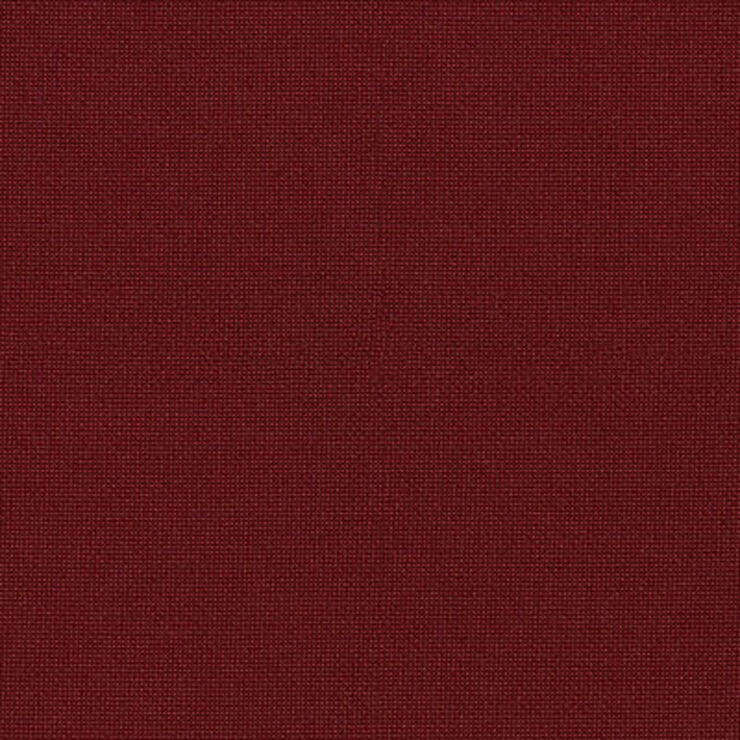 Muse Poinsettia 029