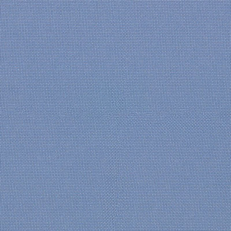 Muse Velella 020