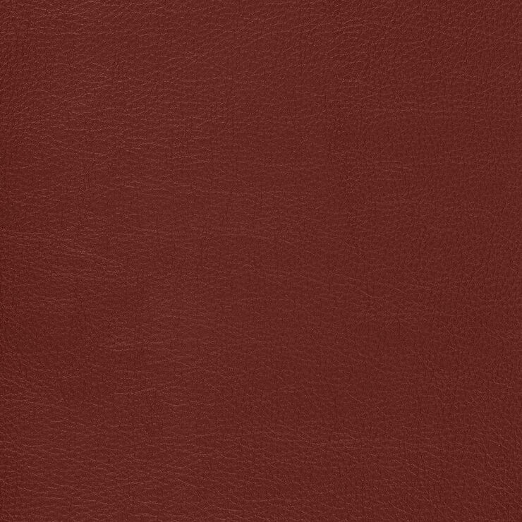 CA 001 Caressa Ruby