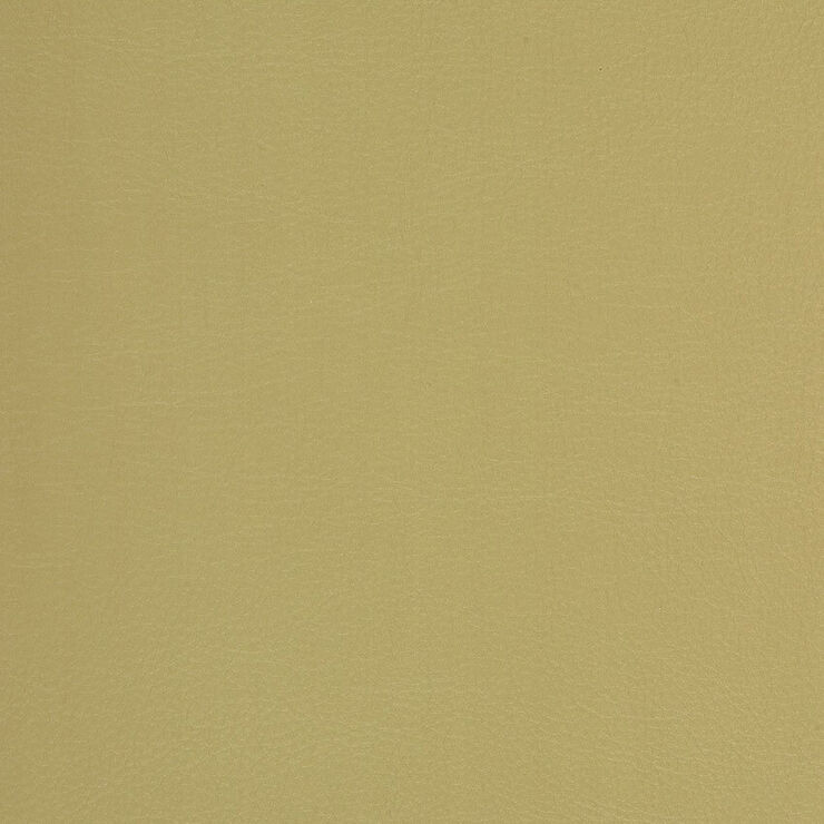 CA 002 Caressa Butterscotch
