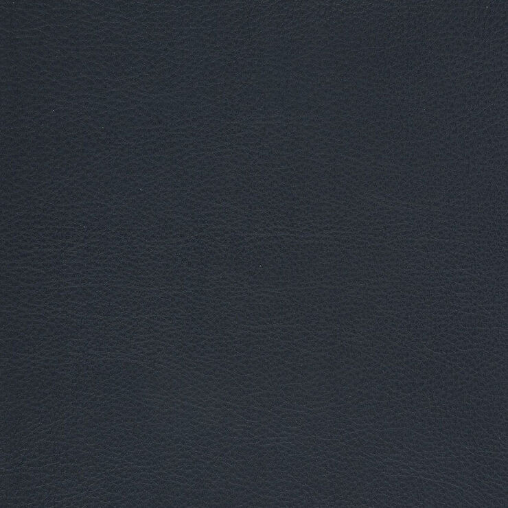 CA 004 Caressa Navy