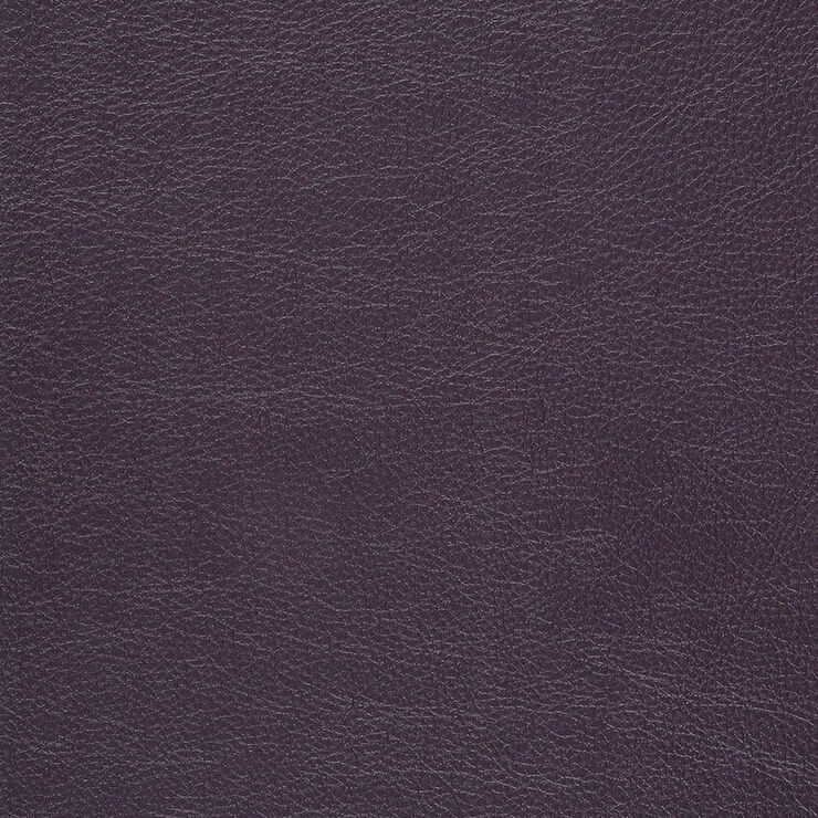 CA 005 Caressa Aubergine