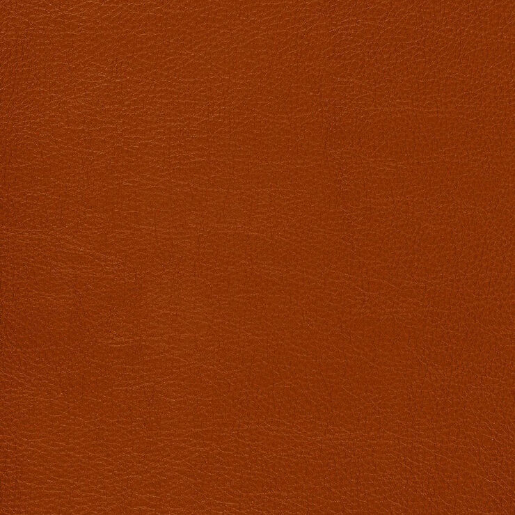 CA 009 Caressa Red Clay