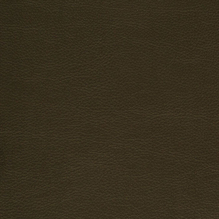 CA 010 Caressa Chocolate