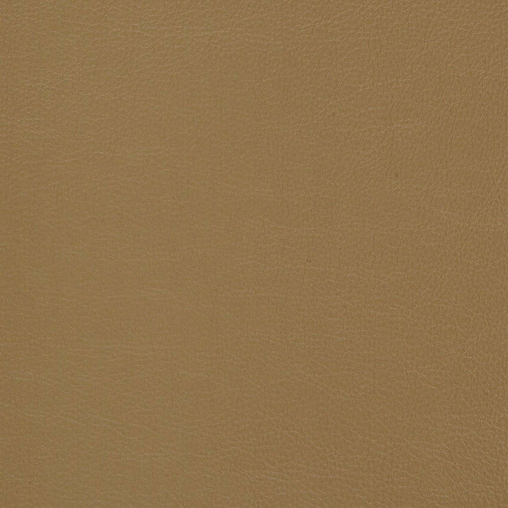 CA 012 Caressa Mojave