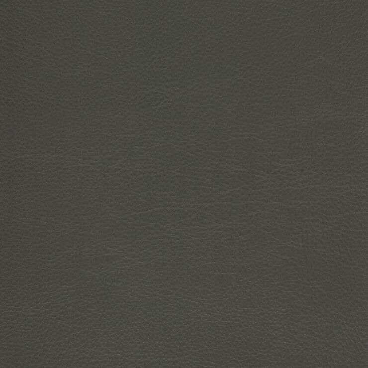 CA 016 Caressa Pewter