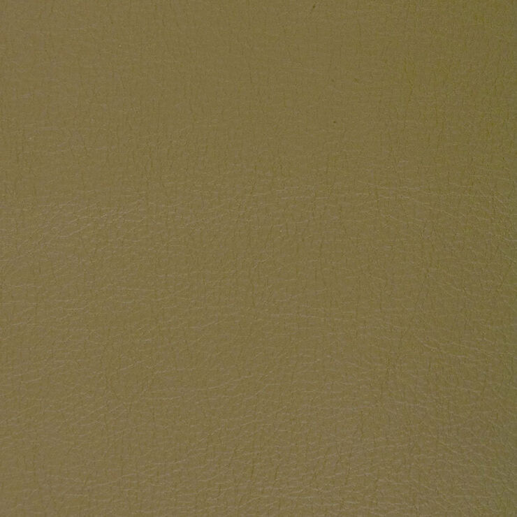 CA 030 Caressa Taupe