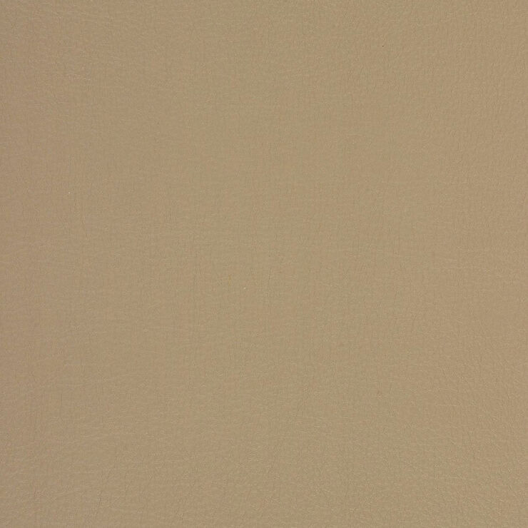 CA 037 Caressa Papyrus