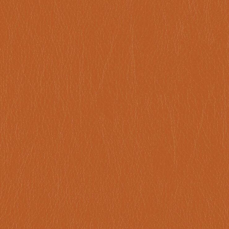 CA 039 Caressa Tangerine