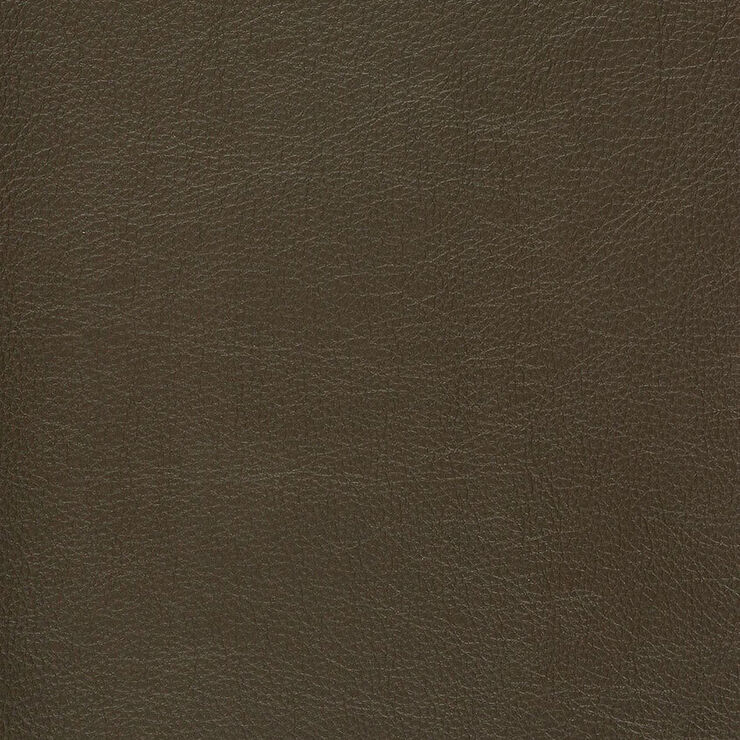 CA 040 Caressa Java