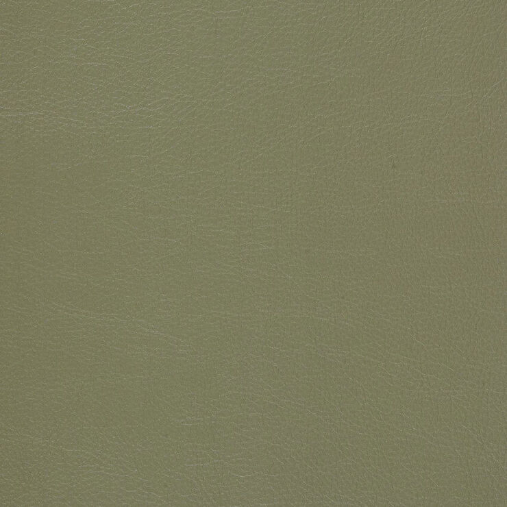 CA 053 Caressa Laurel