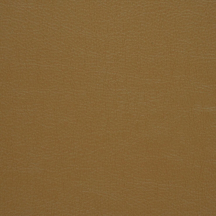 CA 060 Caressa Caramel