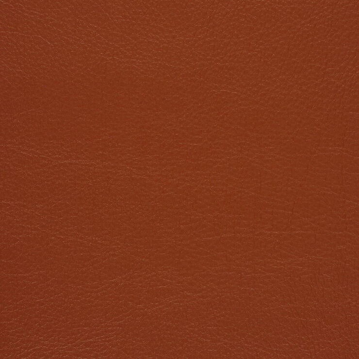 CA 070 Caressa Rawhide