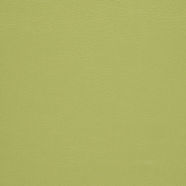 CA 083 Caressa Wasabi