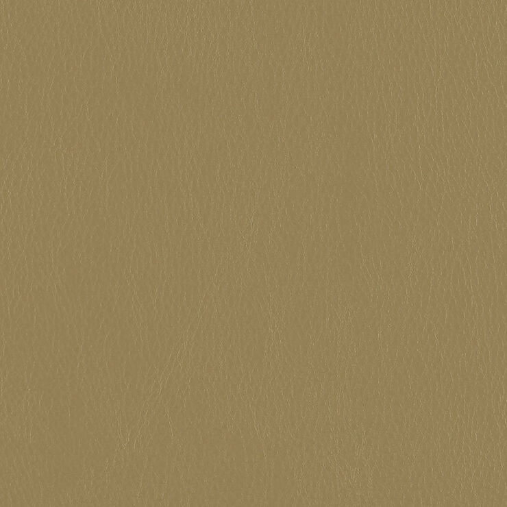 CA 097 Caressa Flax