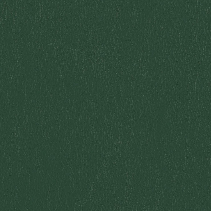 CA 133 Caressa Ivy