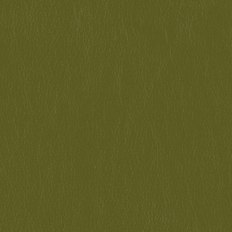 CA 113 Caressa Jade