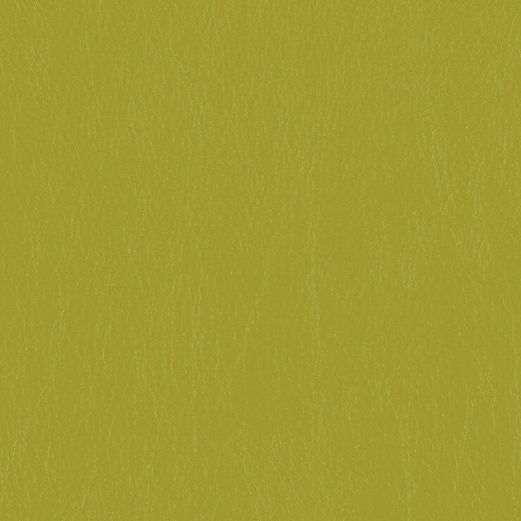 CA 103 Caressa Lime