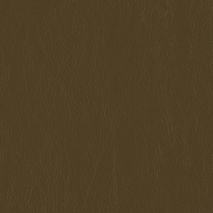 CA 090 Caressa Mocha