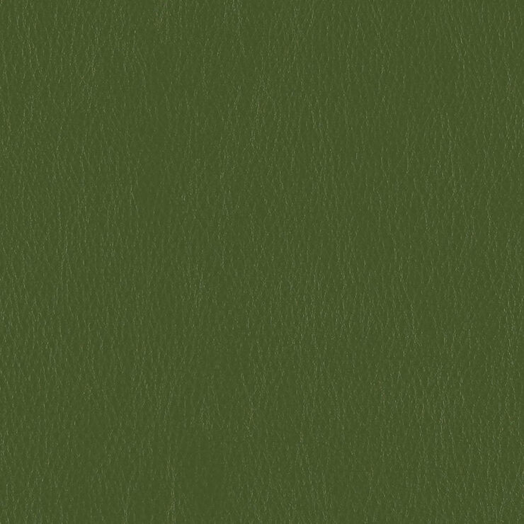 CA 123 Caressa Parsley