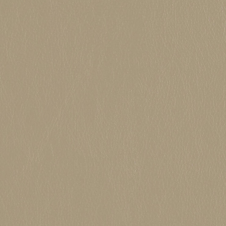 CA 117 Caressa Sand