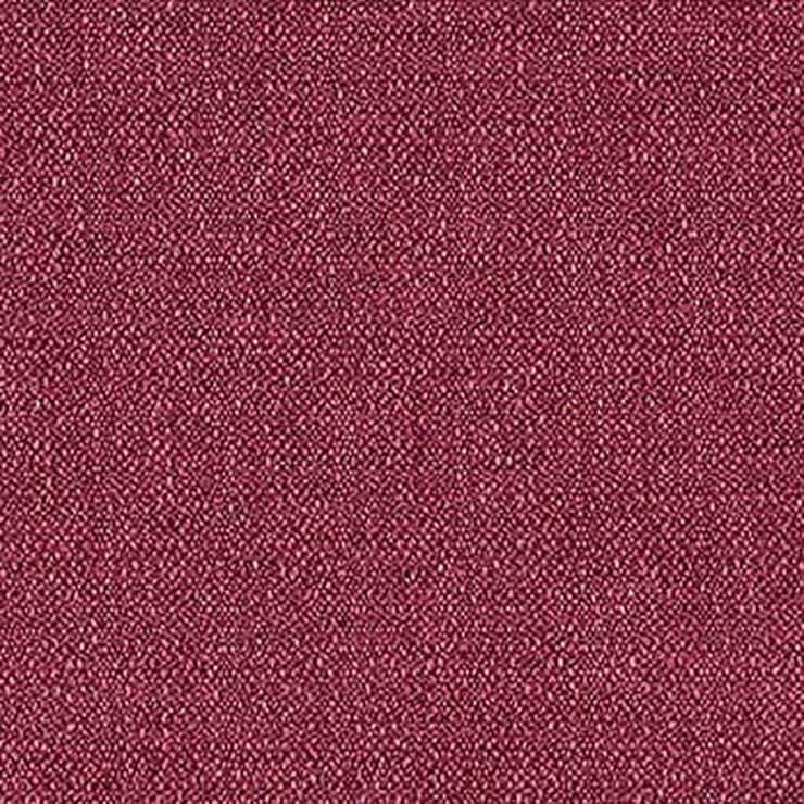 Continuum Beet
