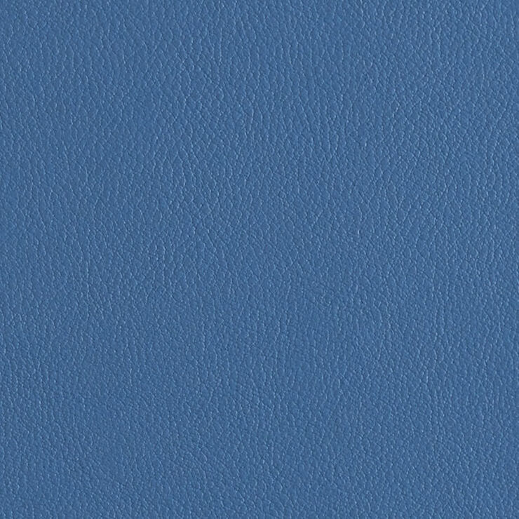 Florentino Bluejay