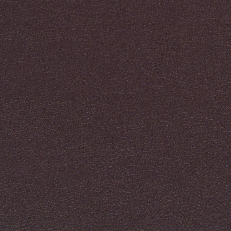 Florentino Plum