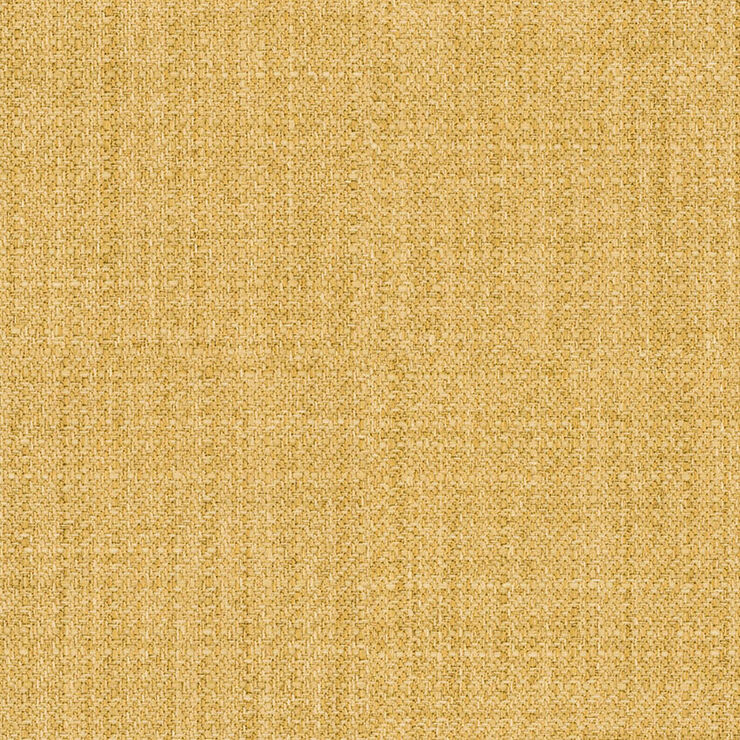 WC976 002 Function Sun