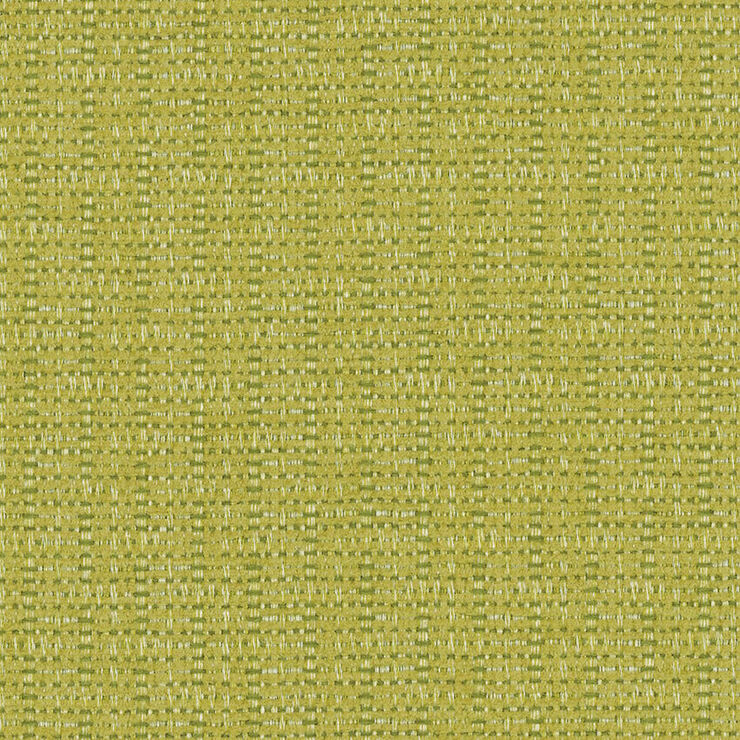 456 013 Sydney Citrus
