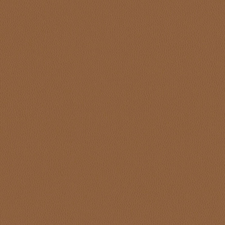 Carson cv buck